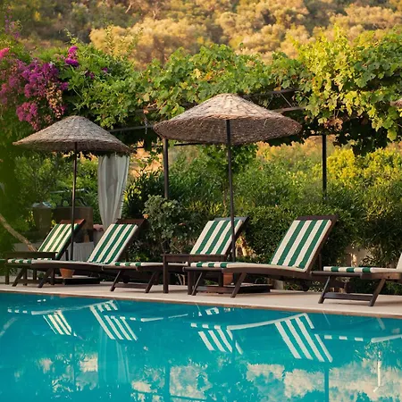 Akvilla House Sarigerme