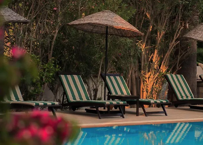 Akvilla House מלון *