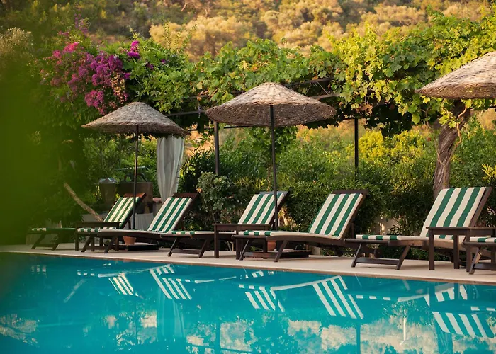 Akvilla House סאריגרמה