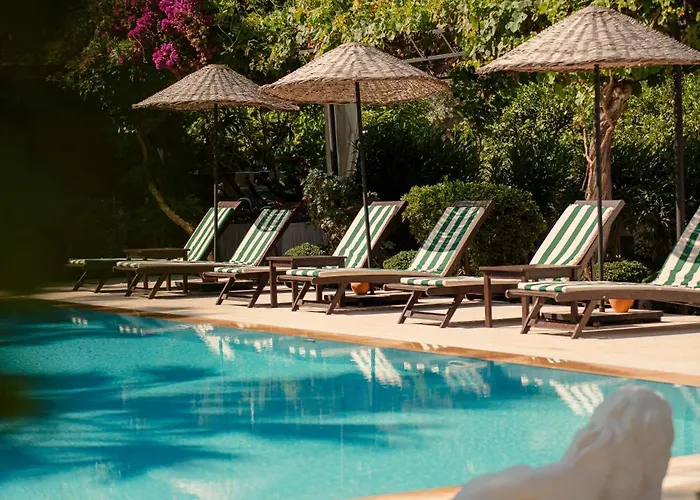 Akvilla House * סאריגרמה